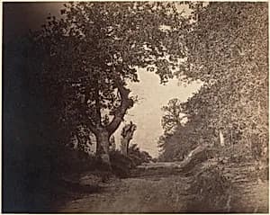 Fontainebleau, chemin sablonneux montant by Gustave Le Gray
