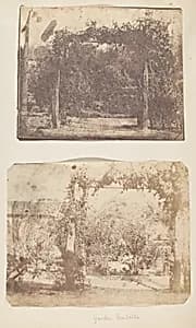 [Garden at Umballa] by Unknown