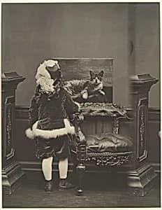 Giorgio de Castiglione