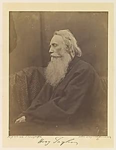 Henry Taylor by Julia Margaret Cameron