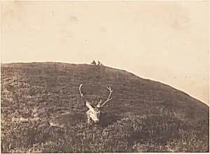 [Hunters Stalking a Deer]