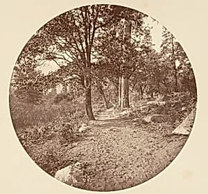 In the Yosemite Valley by Carleton E. Watkins