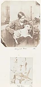 Johnny and Drum; Dead Game by John Dillwyn Llewelyn