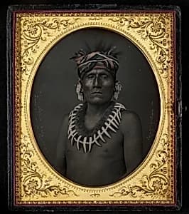 Kno-Shr, Kansas Chief by John H. Fitzgibbon