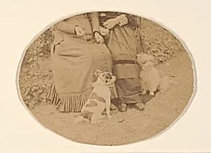 Les Chiens by Pierre-Louis Pierson