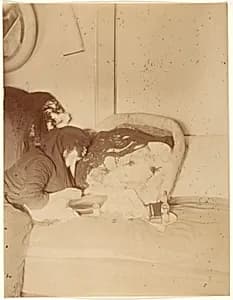 Les Chiens by Pierre-Louis Pierson
