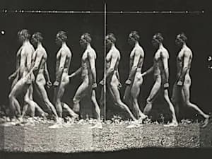 [Man Walking, "Stroboscopic" Photograph] by Thomas Eakins