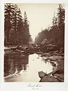 Merced River, Yosemite by Carleton E. Watkins