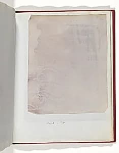 Merletto o Pizzo by William Henry Fox Talbot