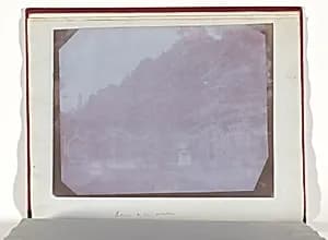 Mio Giardino by William Henry Fox Talbot