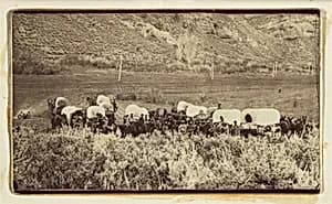 Mormon Emigrant Train, Echo Canyon by Charles William Carter