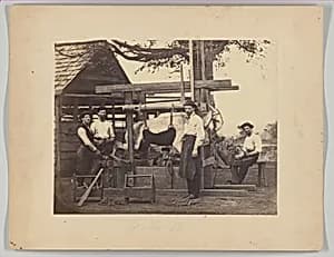 Mule Stock, Camp Nelson, Kentucky