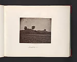 Paddy Fields by John Thomson