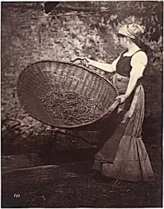 [Peasant Woman with Winnowing Basket] by Unknown