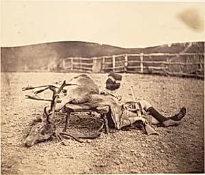 [Peel Ross with Hunting Trophies] by Horatio Ross