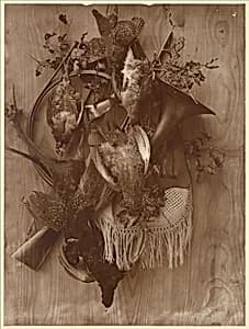 Pheasant and Grouse by Adolphe Braun
