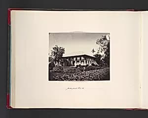 Pickenpack Thies & Co. by John Thomson