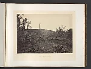 Pine Mountain by George N. Barnard