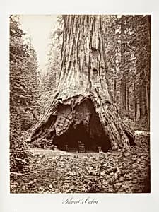 Pioneer's Cabin by Carleton E. Watkins