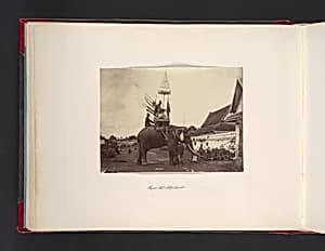 Royal Wat Elephant by John Thomson