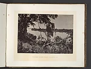 Savanah River, Near Savanah, Georgia by George N. Barnard