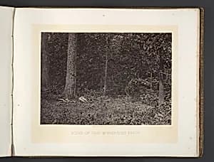 Scene of General McPherson's Death by George N. Barnard