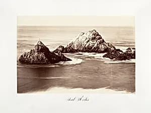 Seal Rocks by Carleton E. Watkins