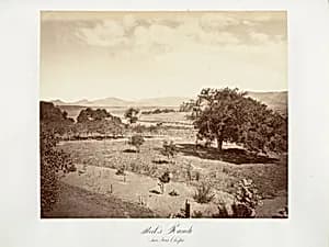 Steel's Ranch, San Luis Obispo by Carleton E. Watkins