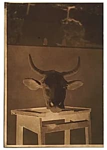 [Still Life] by Louis-Rémy Robert
