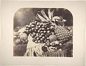 [Still Life with Fruit] by Roger Fenton