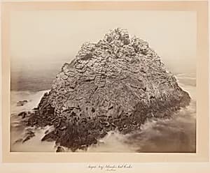 Sugar Loaf Islands, Farallons by Carleton E. Watkins