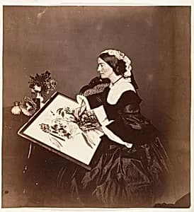 [The Countess Canning, Calcutta] by Josiah Rowe