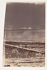 [The Wilderness Battlefield] by Unknown
