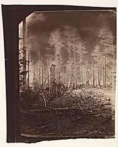 [The Wilderness Battlefield] by Unknown