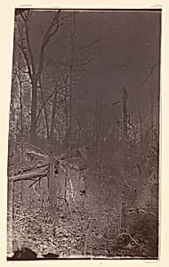 [The Wilderness Battlefield] by Unknown