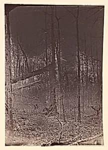 [The Wilderness Battlefield] by Unknown