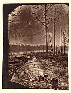 [The Wilderness Battlefield] by Unknown