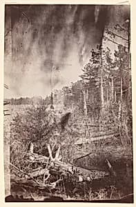 [The Wilderness Battlefield] by Unknown