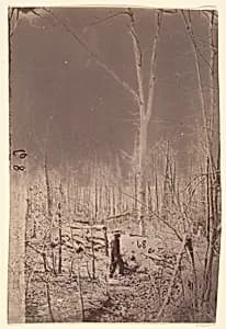 [The Wilderness Battlefield] by Unknown