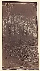 [The Wilderness Battlefield] by Unknown