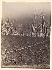 [The Wilderness Battlefield] by Unknown