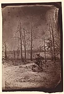 [The Wilderness Battlefield] by Unknown