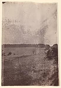 [The Wilderness Battlefield] by Unknown