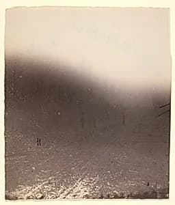 [The Wilderness Battlefield] by Unknown