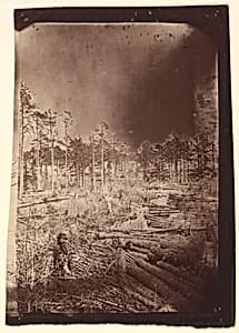 [The Wilderness Battlefield] by Unknown