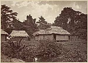 Tropical Scenery, Turbo Village by John Moran