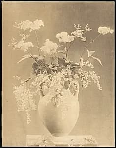 [Vase of Flowers] by Unknown