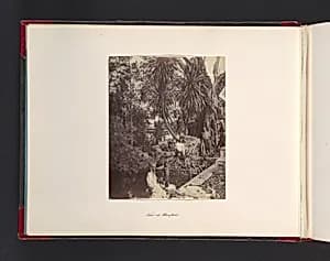 View at Bangkok by John Thomson