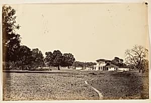 [View of Bungalow and Grounds] by Unknown