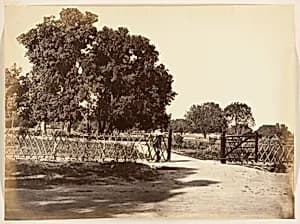 [View of Garden] by Unknown